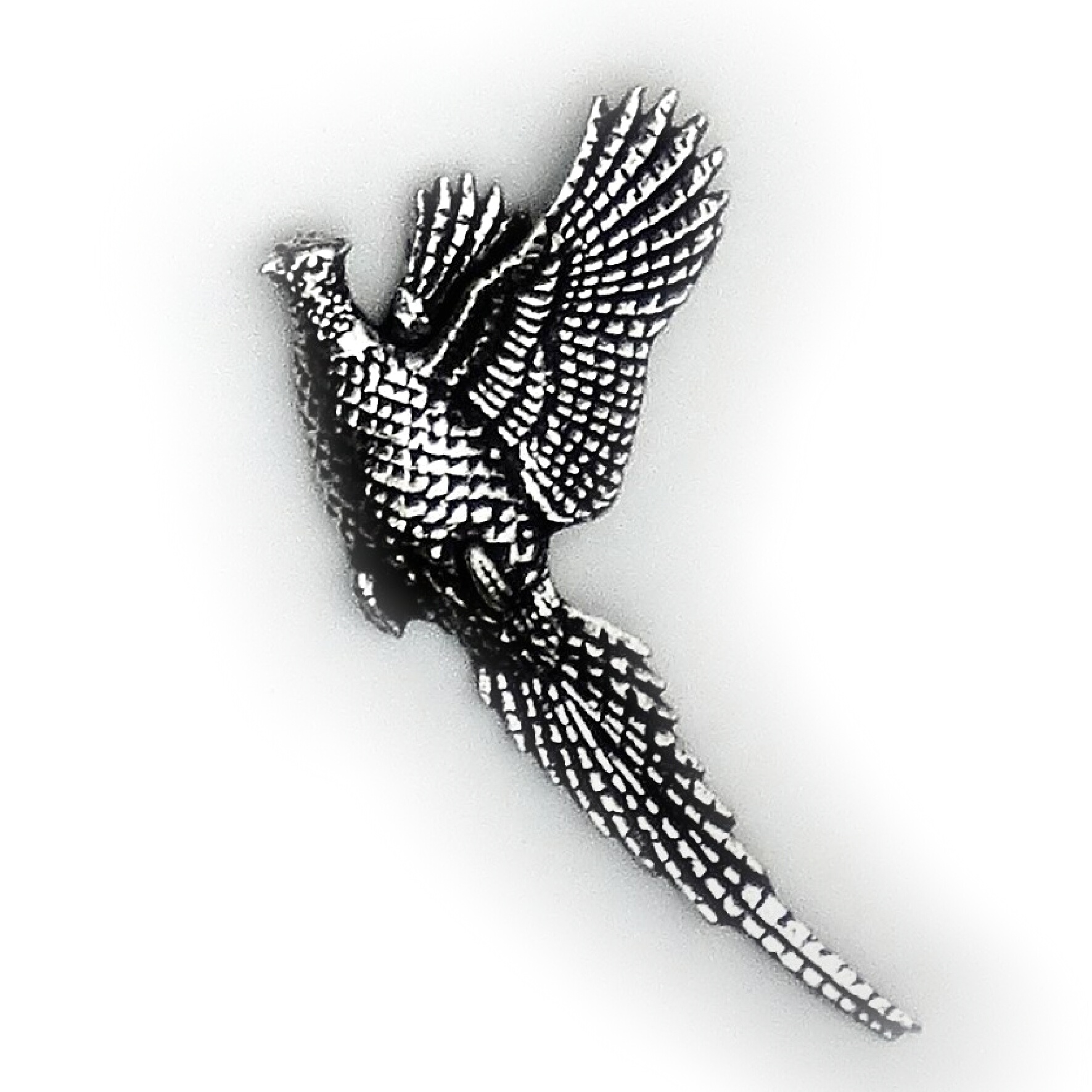 PIN Fasan