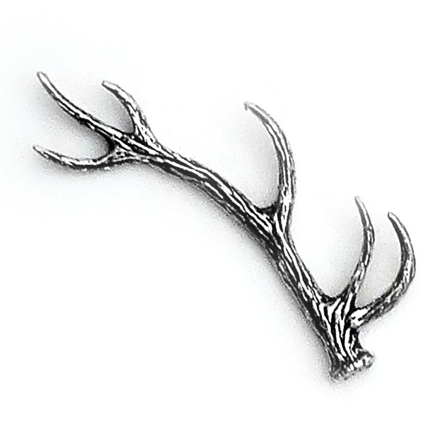 PIN Horn Kronhjort