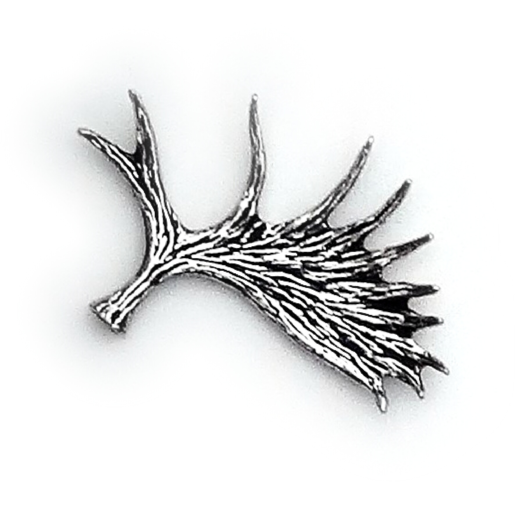 PIN Horn Älg