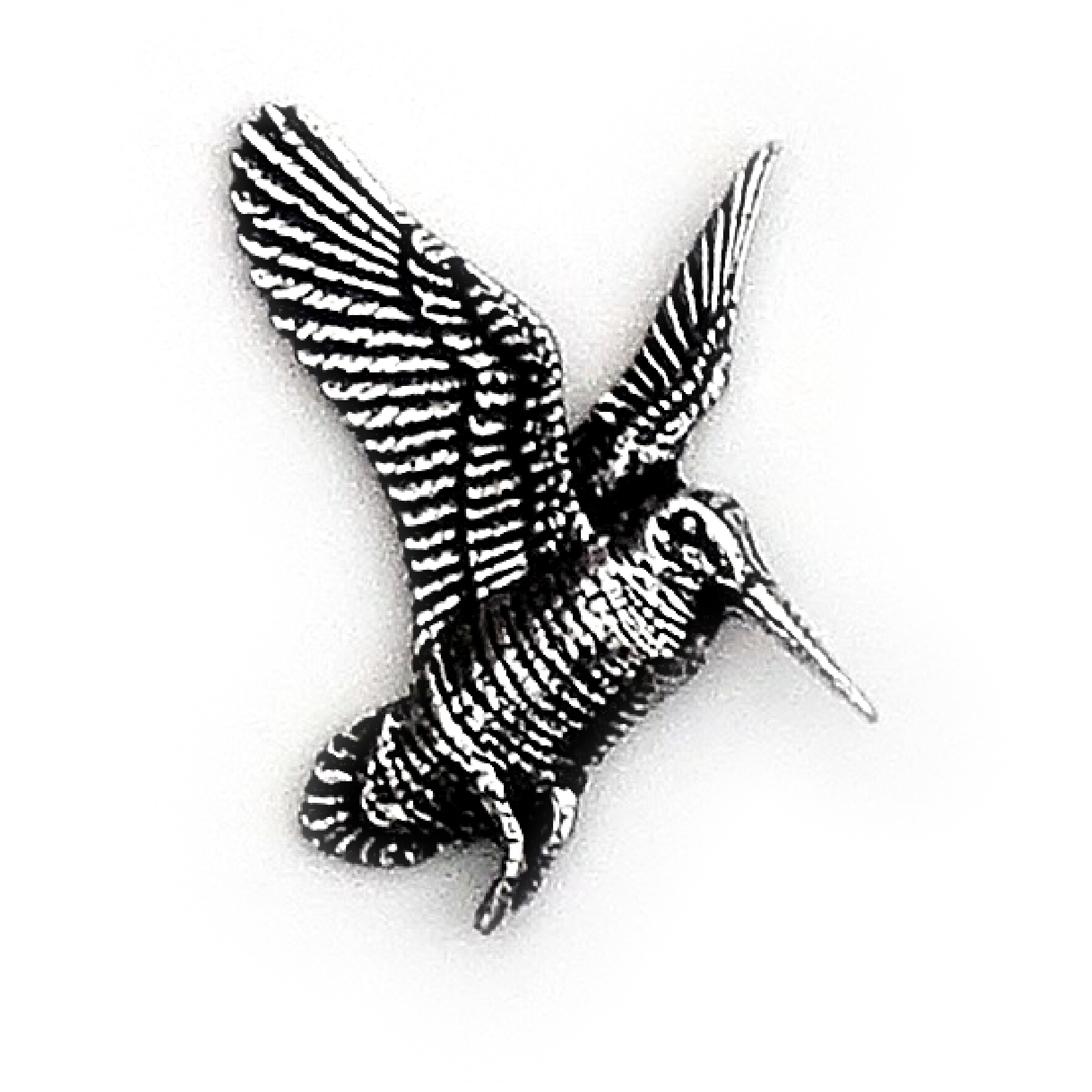 PIN Morkulla