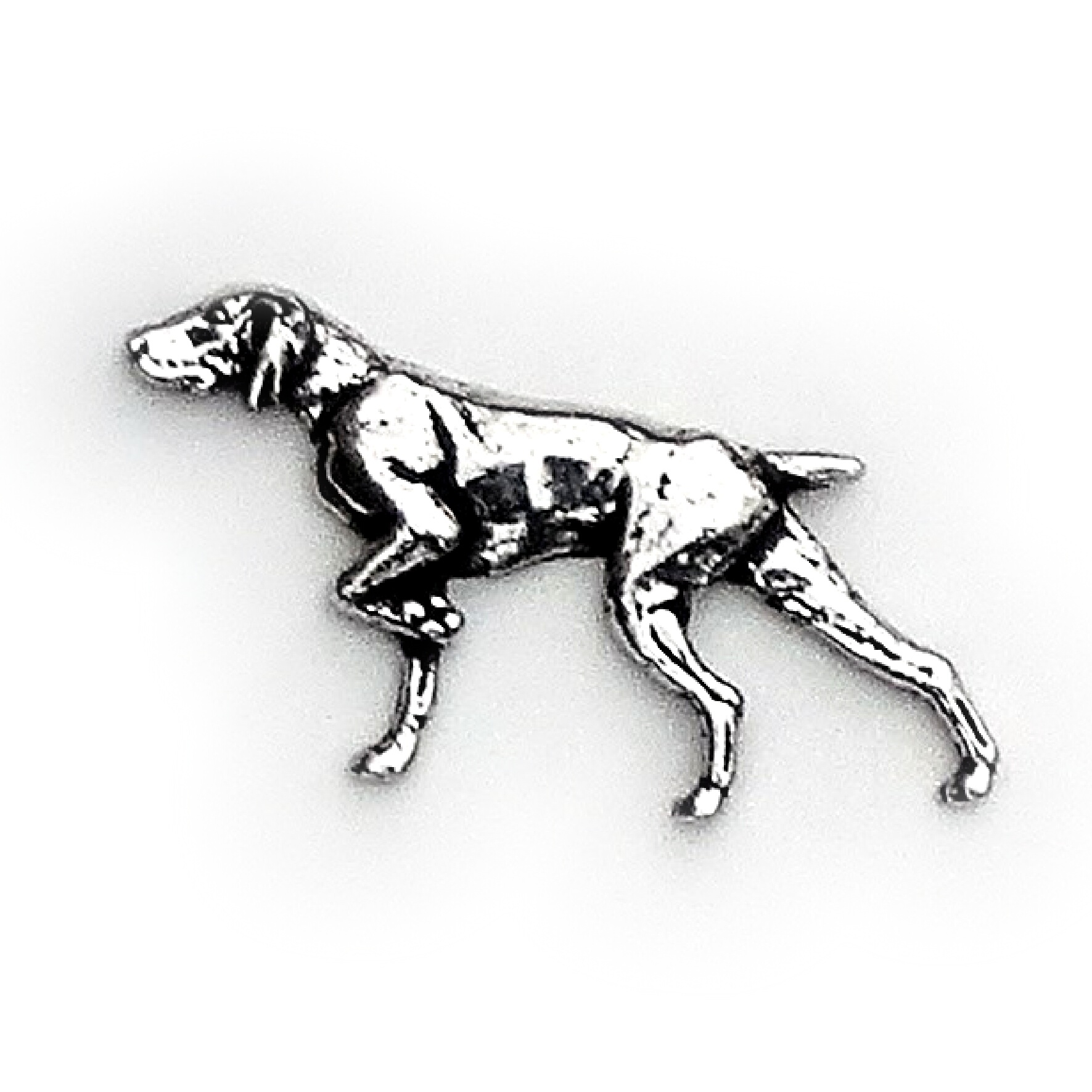 PIN Stående Fågelhund