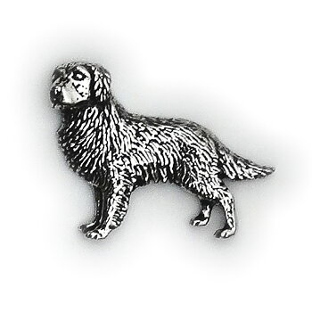PIN Golden