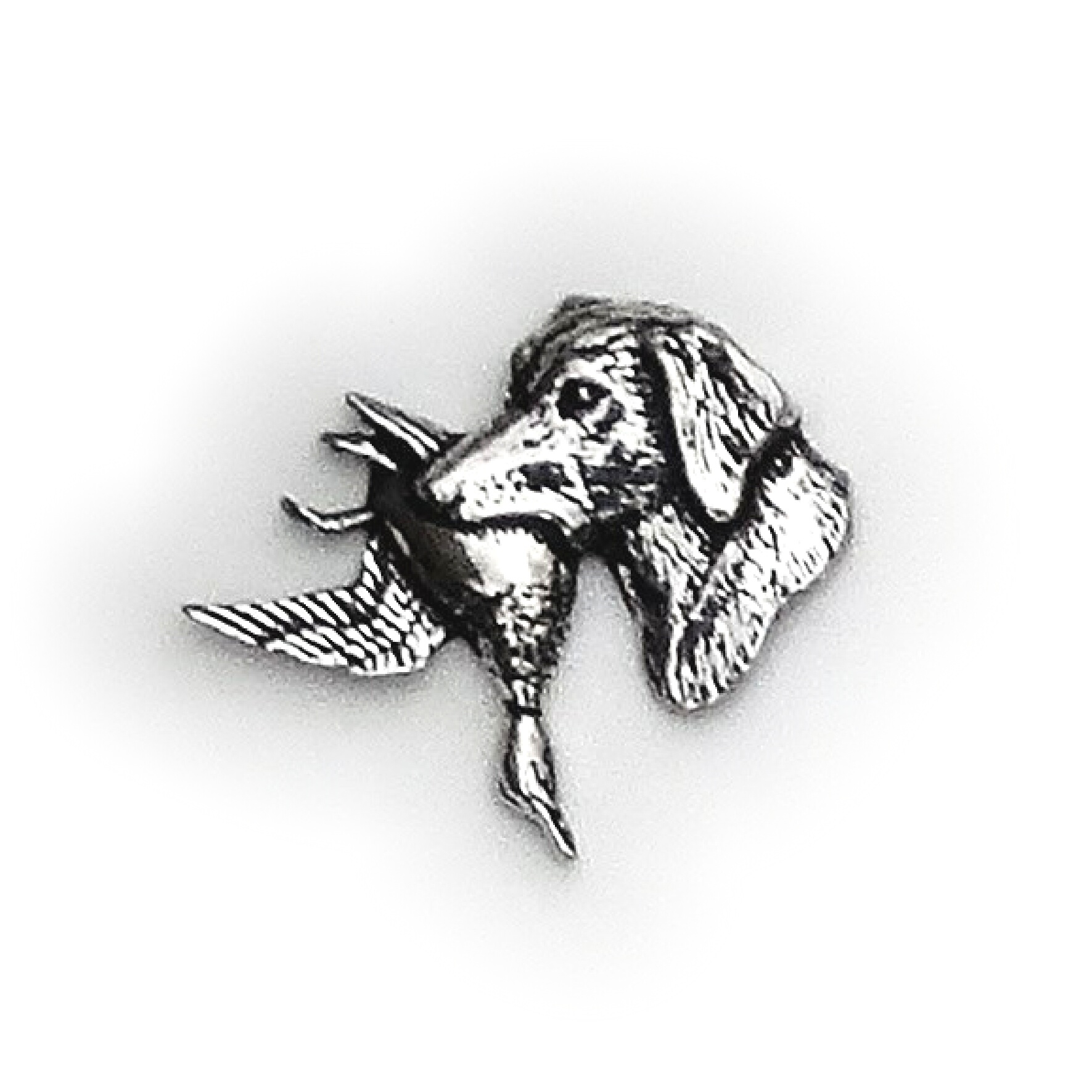 PIN Apport. Retriever