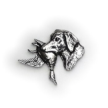 PIN Apport. Retriever