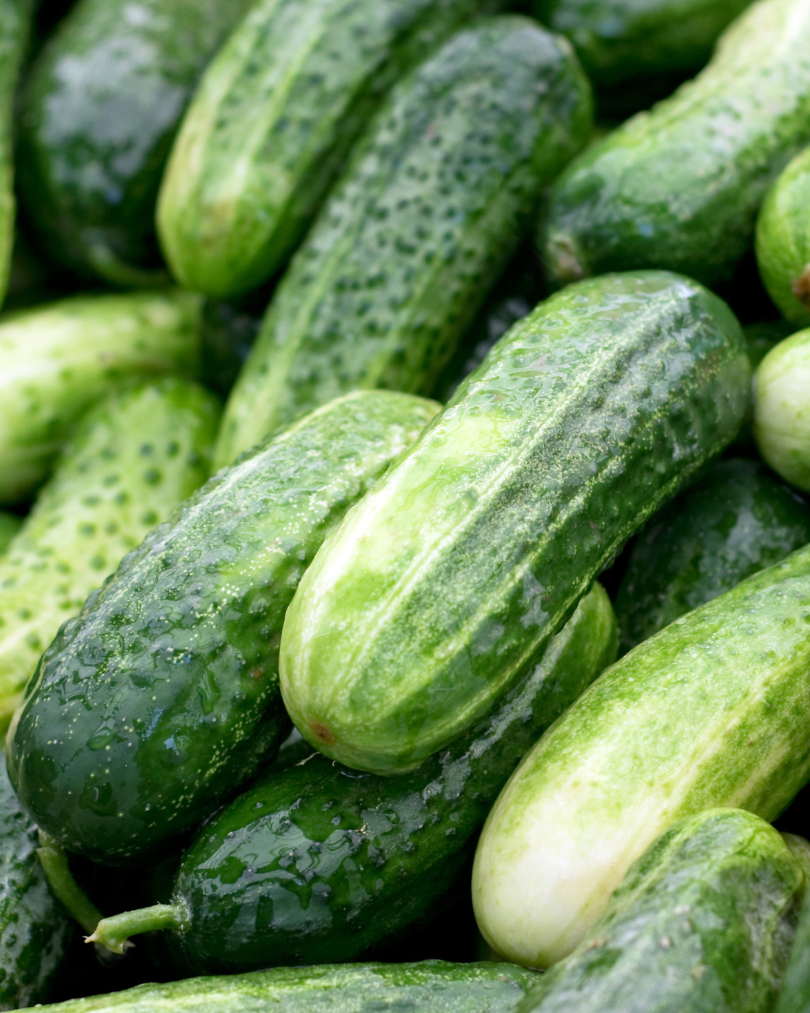 Frilandsgurka - Vorgebirgstrauben