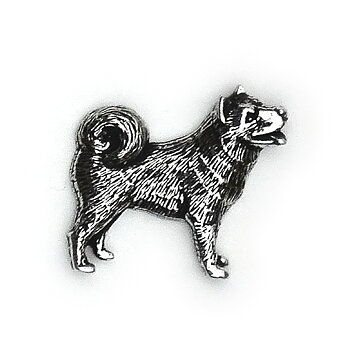 PIN Spets