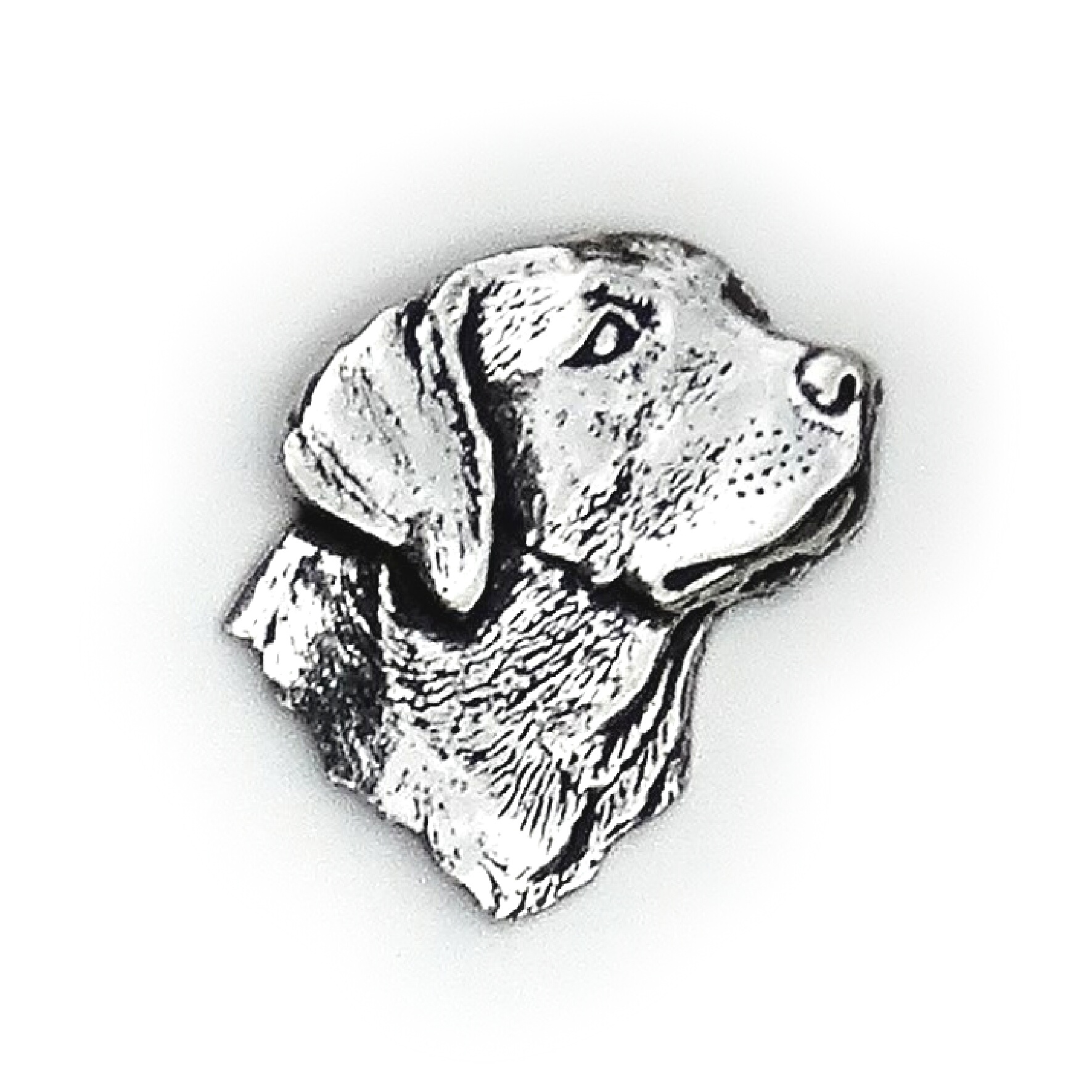 PIN Huvud Labrador