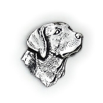 PIN Huvud Labrador