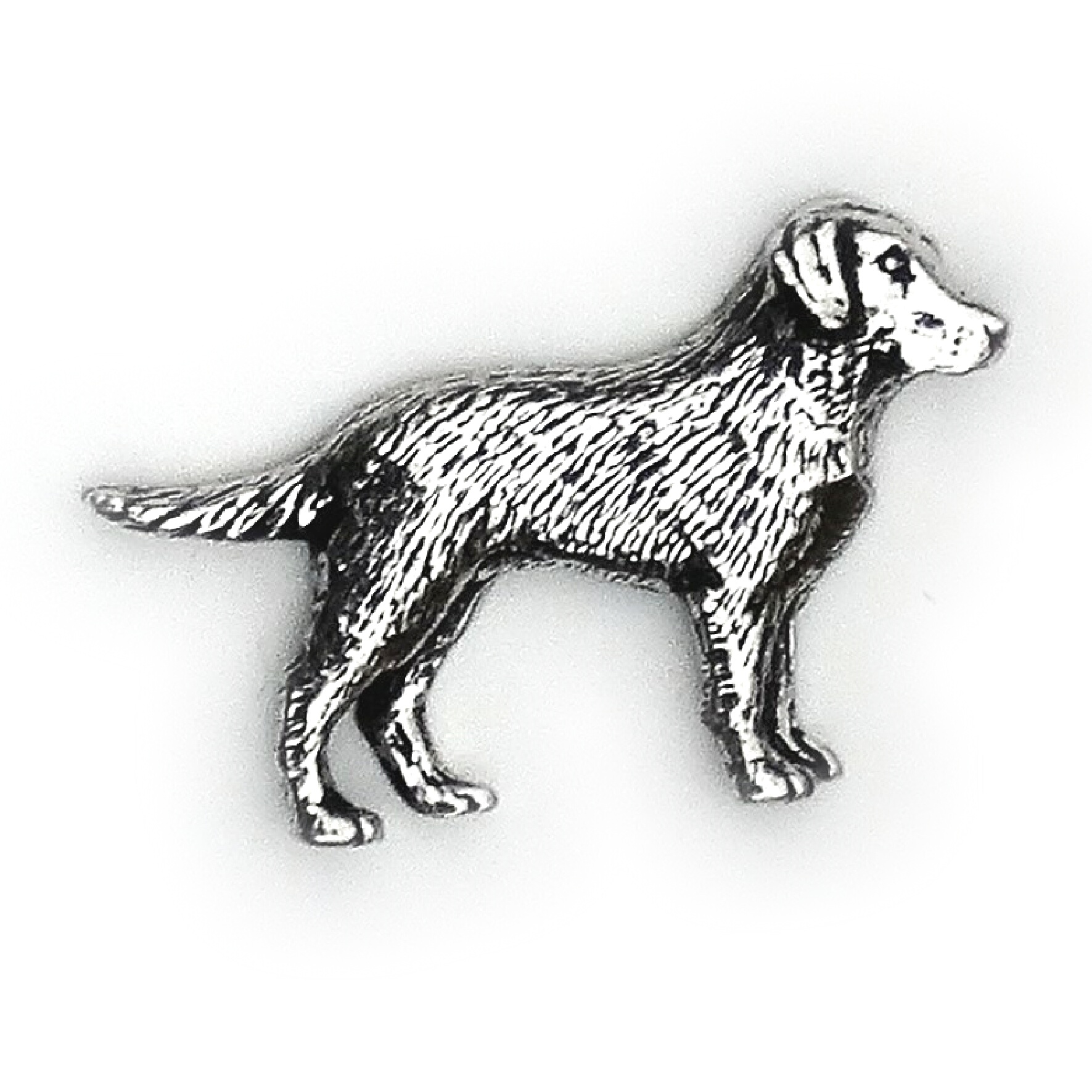 PIN Labrador