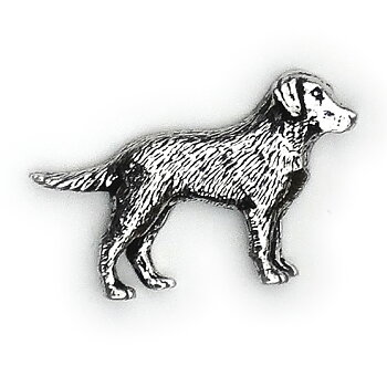 PIN Labrador