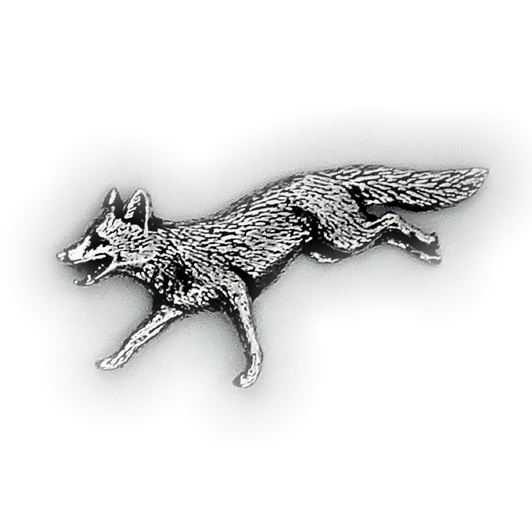 PIN Räv