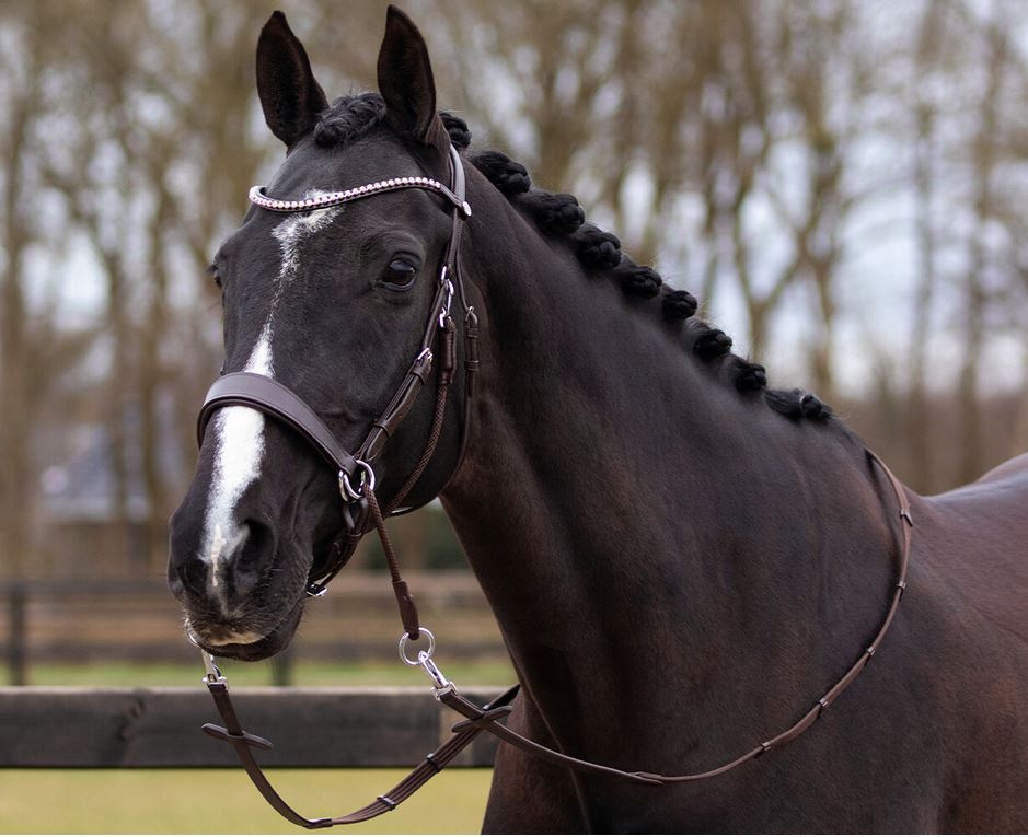 Bitless Bridle + Sidepull (3-i-1) QHP Sunna inkl. tyglar - 6