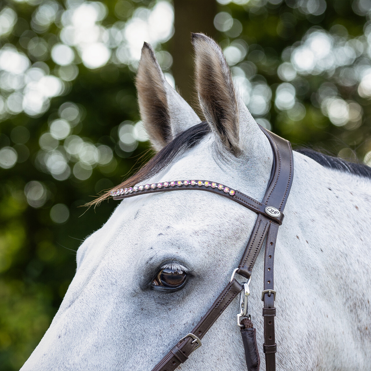 Bitless Bridle + Sidepull (3-i-1) QHP Sunna inkl. tyglar - 17