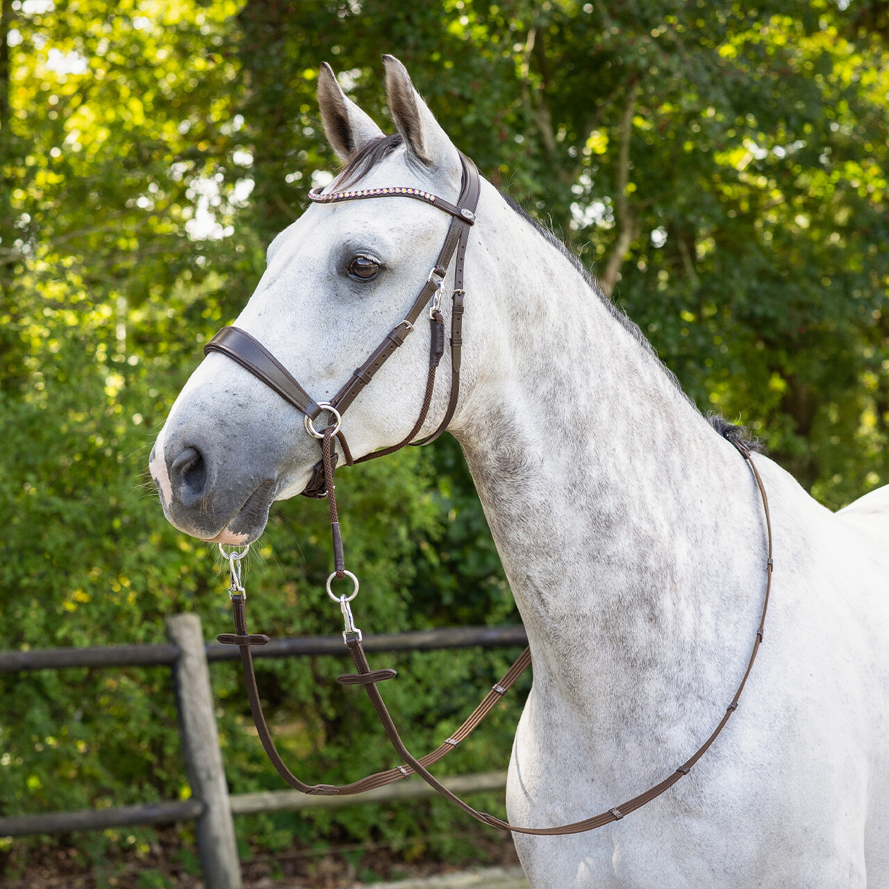 Bitless Bridle + Sidepull (3-i-1) QHP Sunna inkl. tyglar - 19