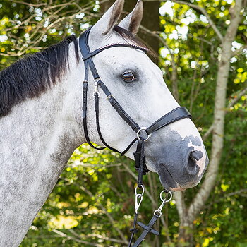 Bitless Bridle + Sidepull (3-i-1) QHP Sunna inkl. tyglar