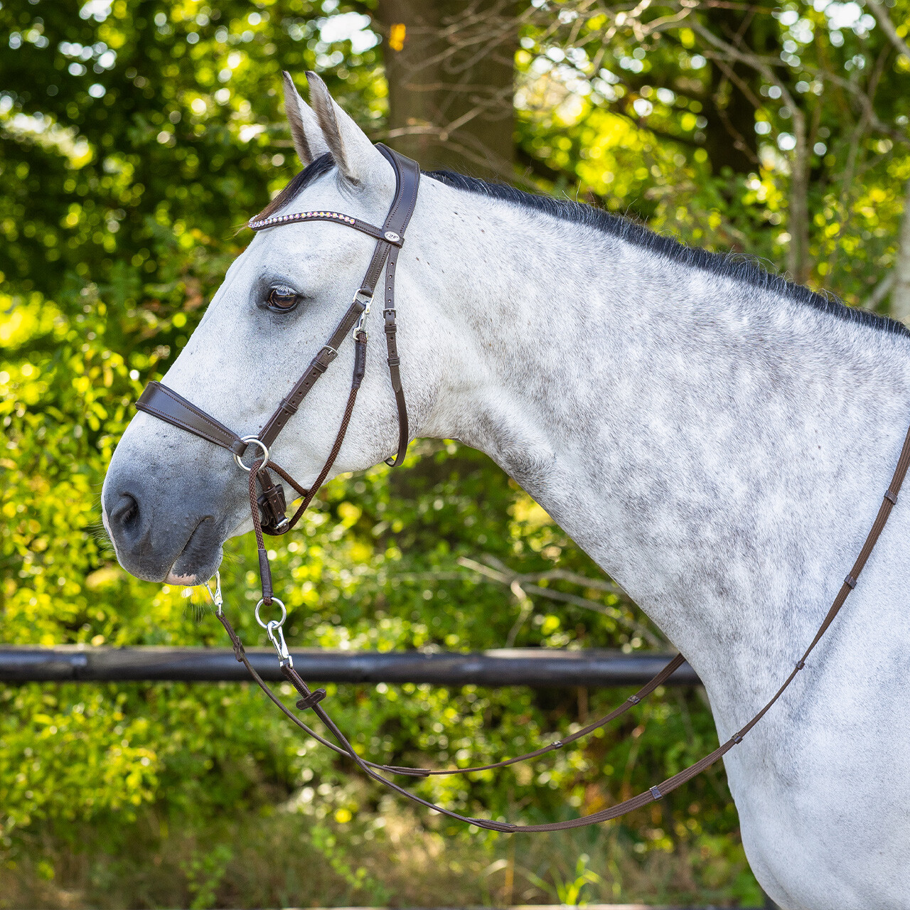 Bitless Bridle + Sidepull (3-i-1) QHP Sunna inkl. tyglar - 18