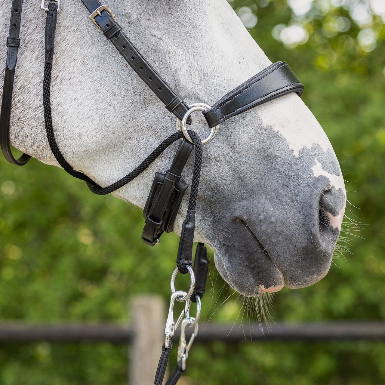 Bitless Bridle + Sidepull (3-i-1) QHP Sunna inkl. tyglar - 16