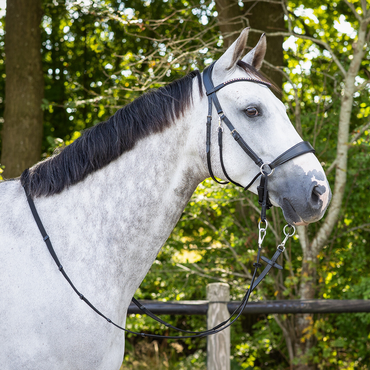 Bitless Bridle + Sidepull (3-i-1) QHP Sunna inkl. tyglar - 8