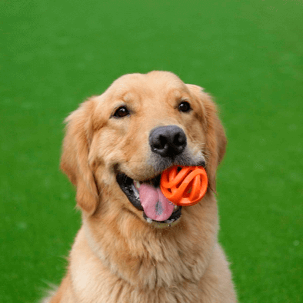 Chuckit Air Fetch Ball 2-pack - 2
