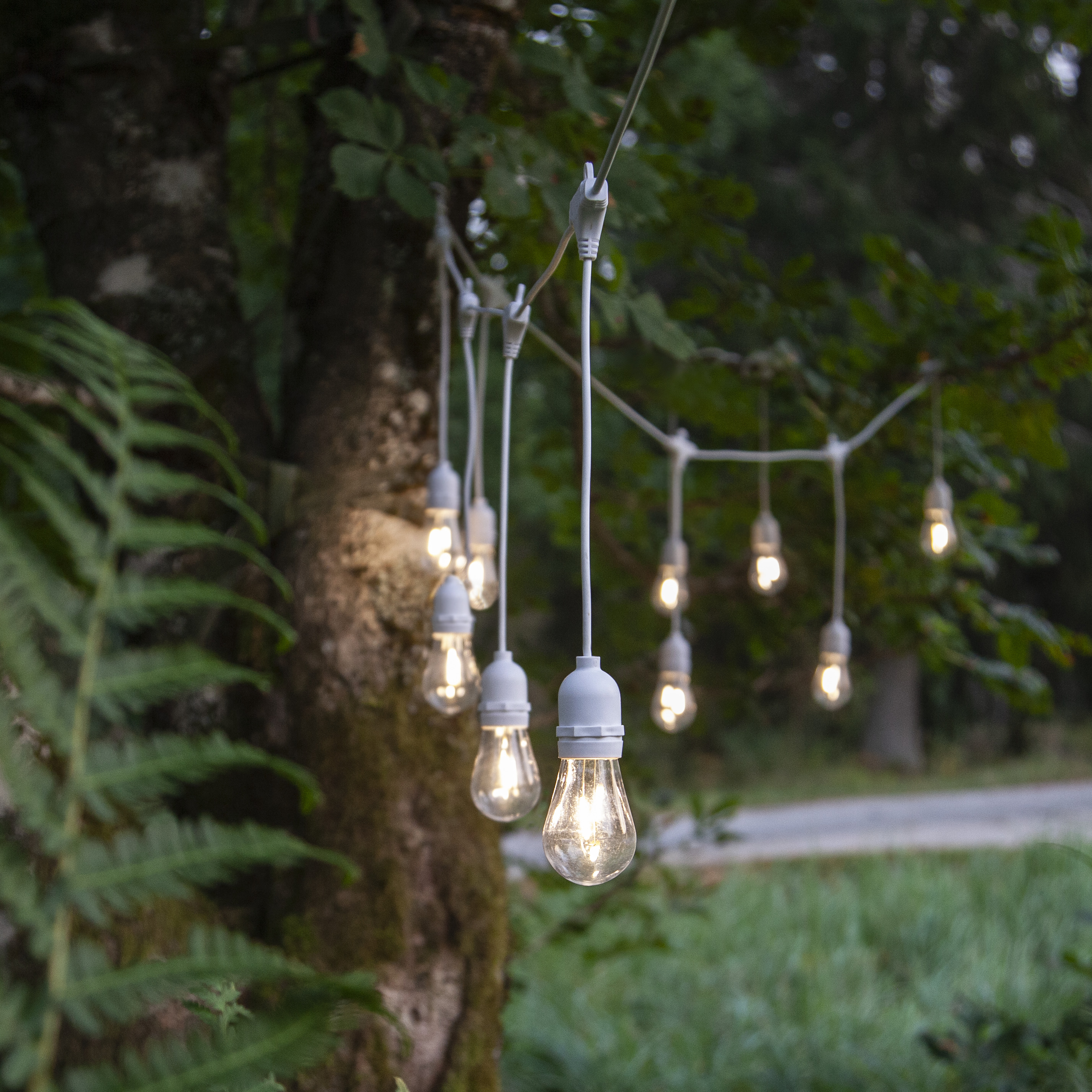 Ljusslinga String Light - Vit - 5 meter - 12