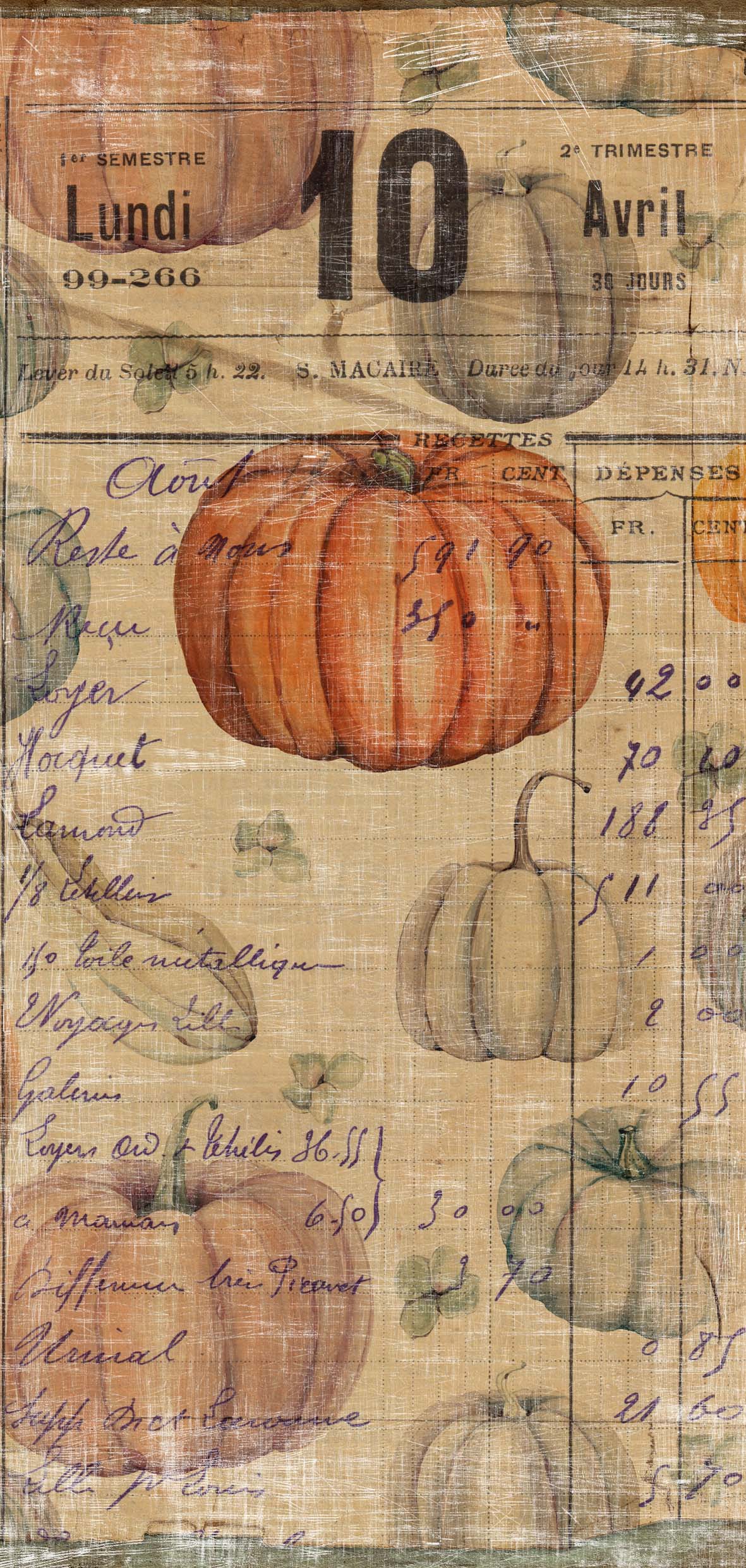 Vintage Pumpkin Collection pack  - 7