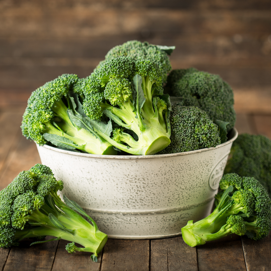 Broccoli - Ramoso Calabrese - Kultursort - 3