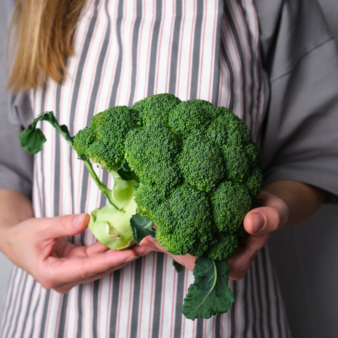 Broccoli - Calabrese Natalino - Kultursort