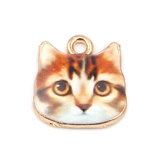 Charm   Enameld Cathead Brown