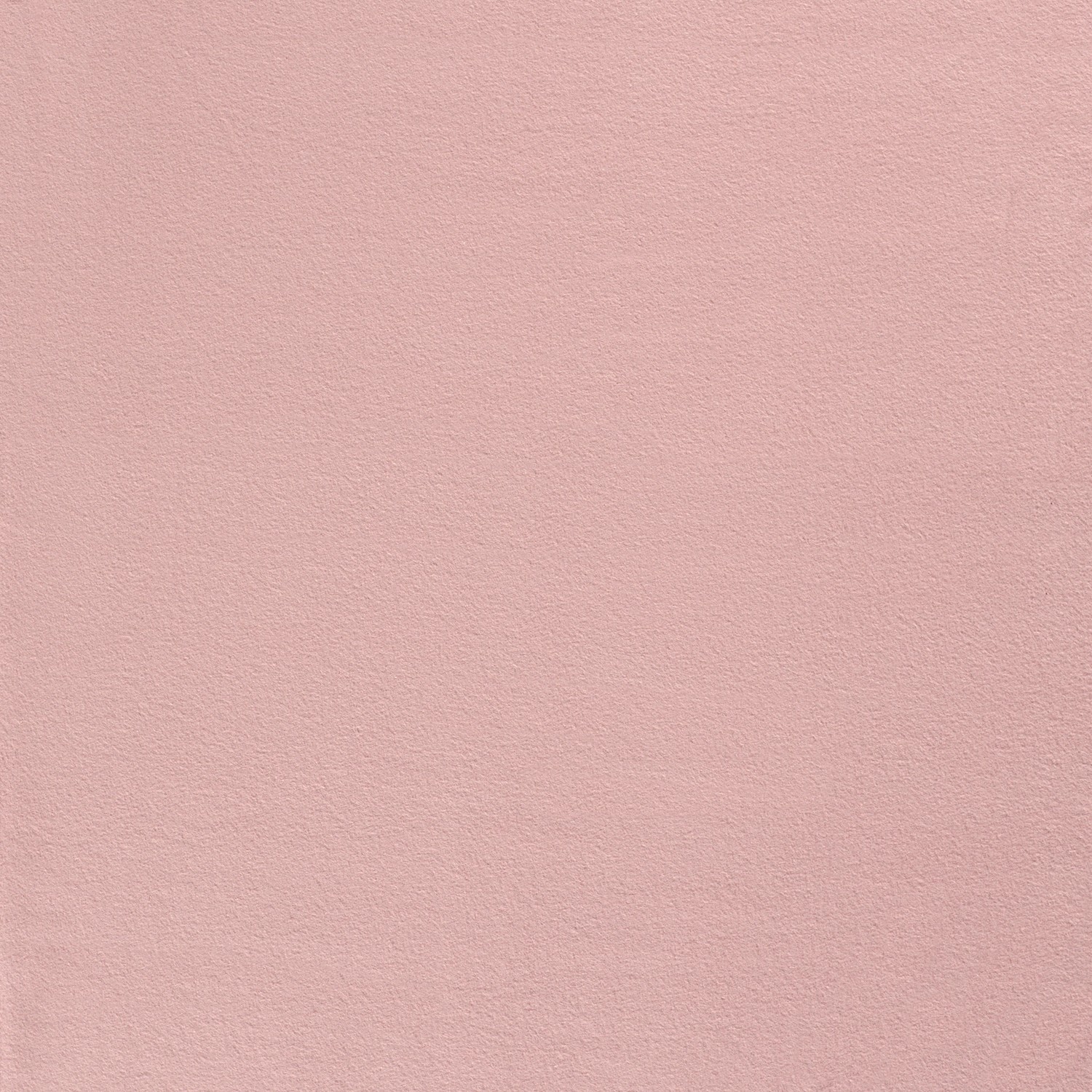 COTTON FLEECE - ROSE - 2