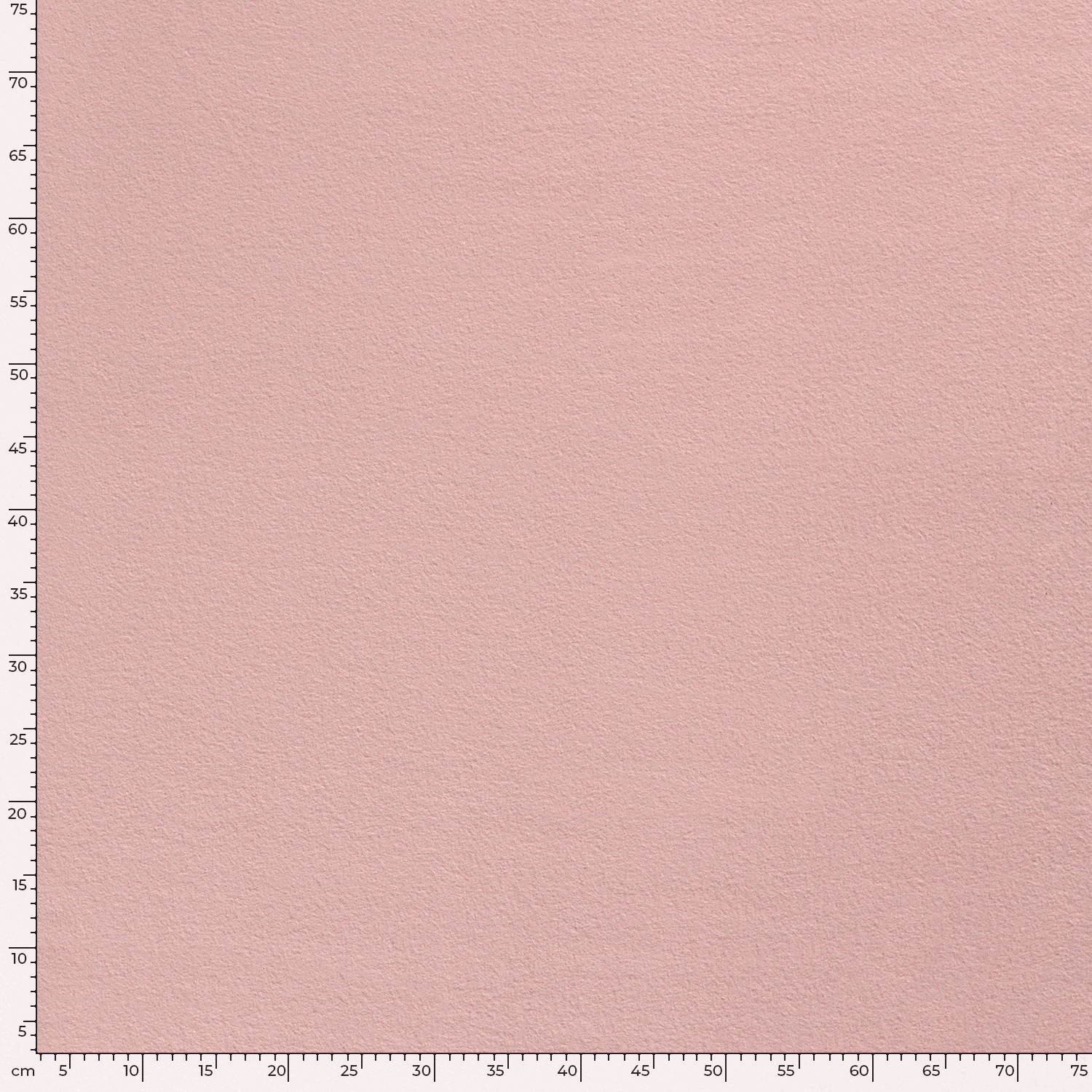 COTTON FLEECE - ROSE - 5