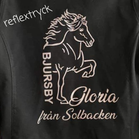 3 Softshell tun modell i  svart eller marin med reflex tryck Bjursby loggan