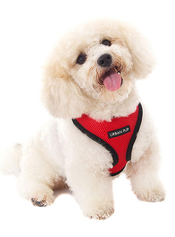 Urban Pup Cherry Red Soft Sele Röd/Svart - 2