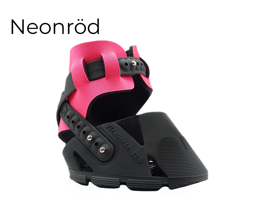 Flex Hoof Boots - Flex Boots CLASSIC - 4