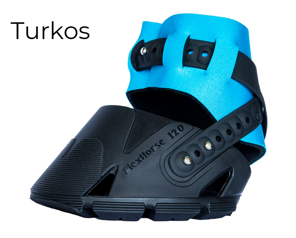 FlexHorseTurkos