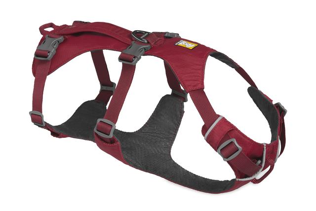 maroon dog harness