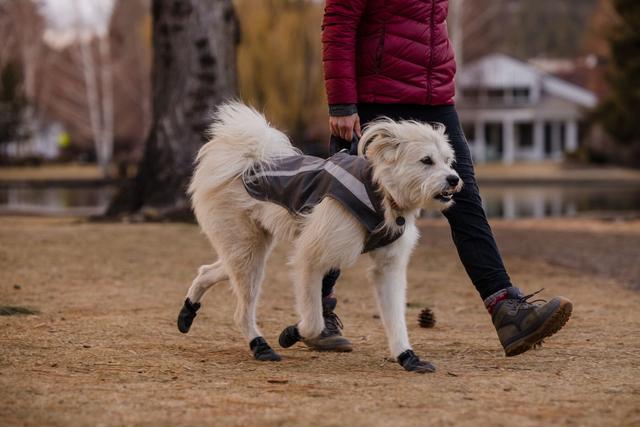 Ruffwear Lumenglow Hi-Vis Dog Jacket - Granite Gray - 8
