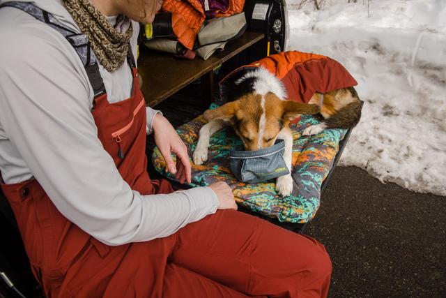 Ruffwear Basecamp Koiran Peti - Orange Reef - koiran retkeilypeti