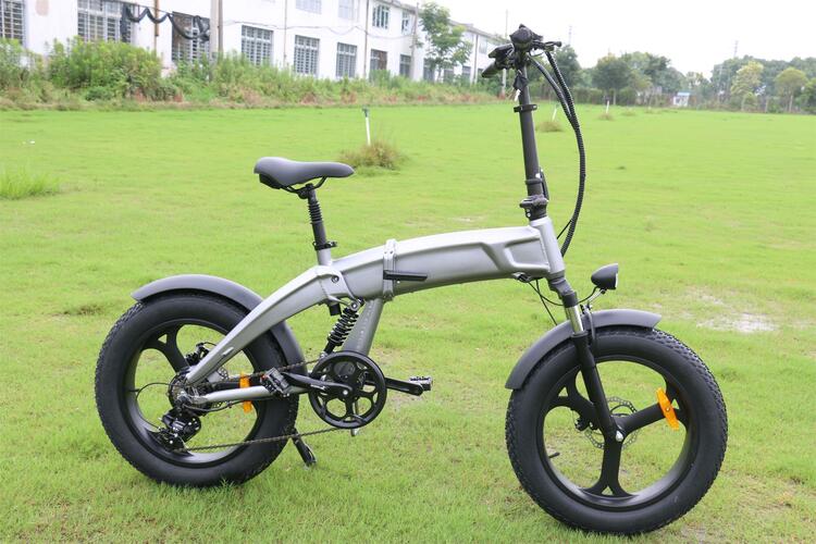 X1 750w  Mountainbike el-cykel 202305 - 3