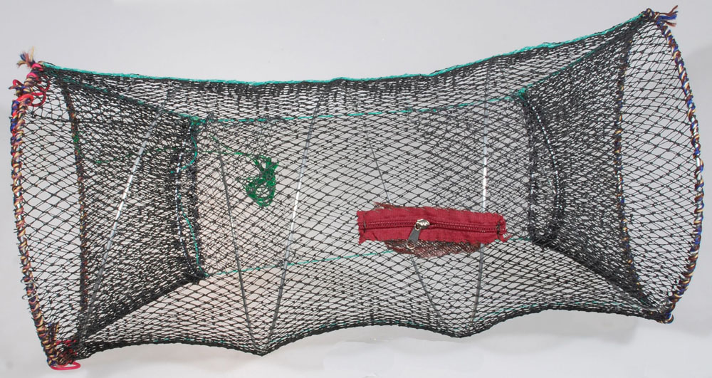 Kräftmjärde 60x32 cm