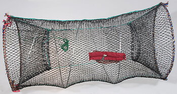 Kräftmjärde 60x32 cm