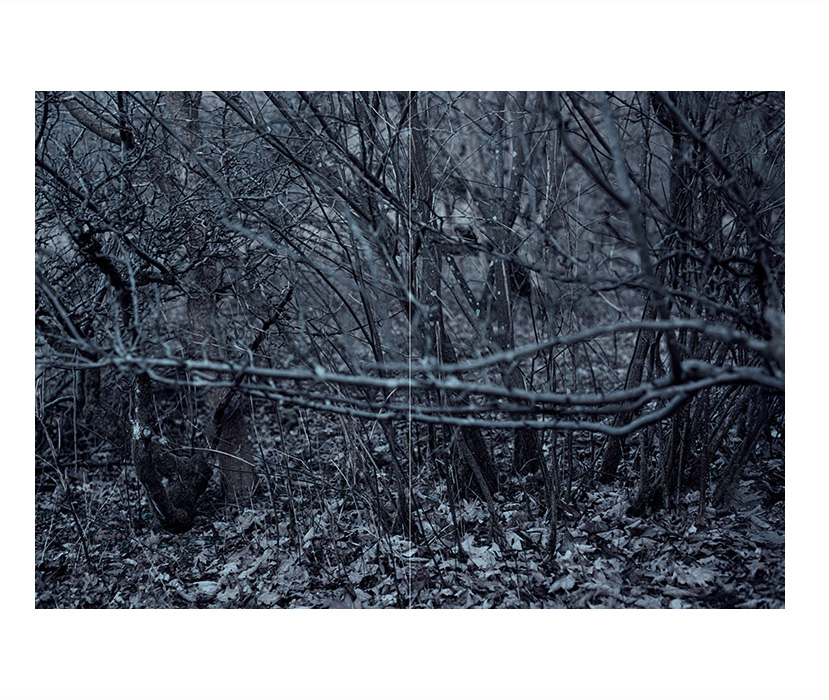Tina Enghoff: Displaced [signed] - 2
