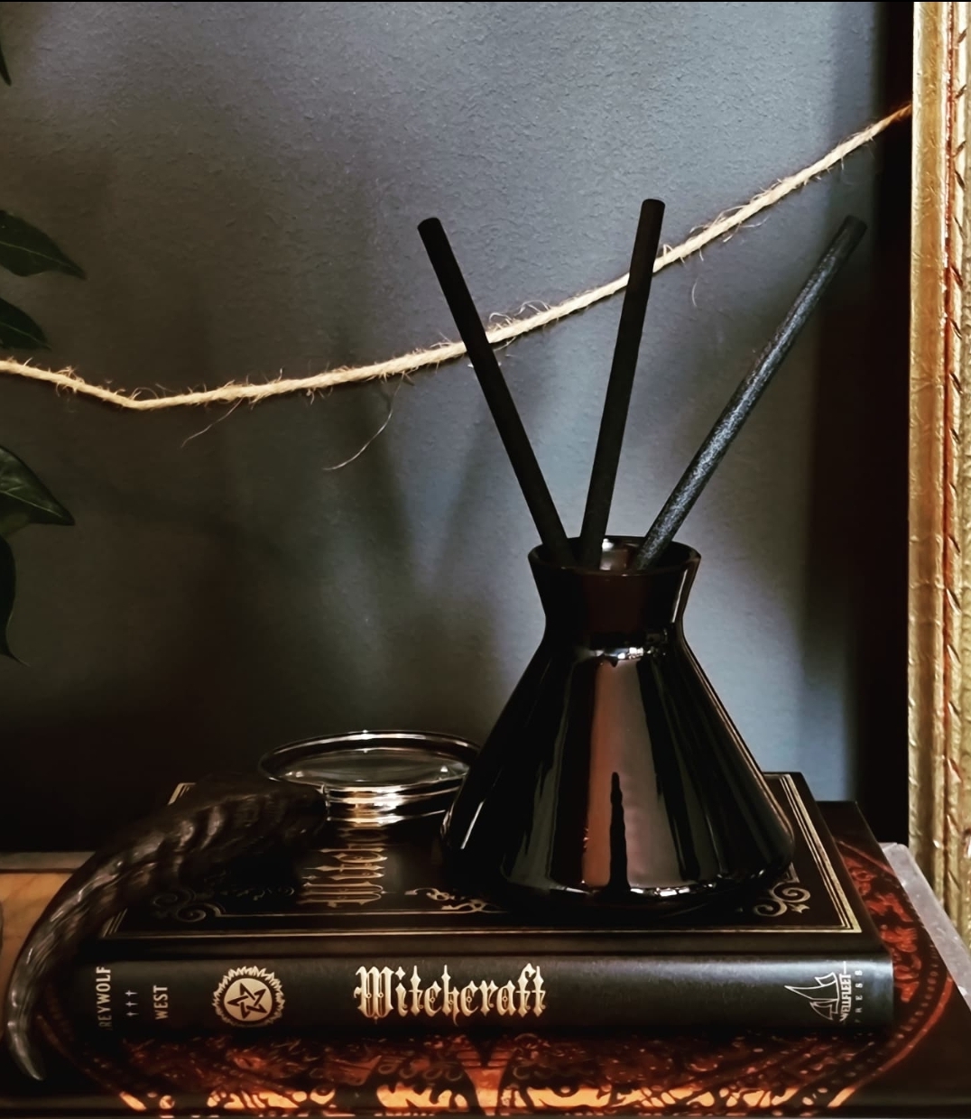 Diffuser Plum Noir - 3