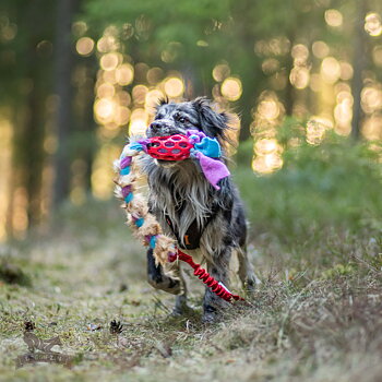 Bungee Hol-ee Fleece 'n Rabbit Braid