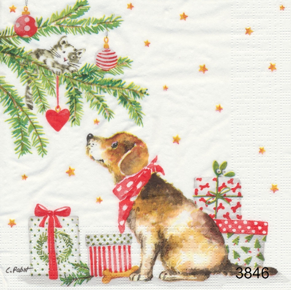 Hund och katt med julklappar