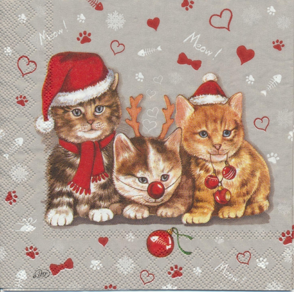 Julkatter