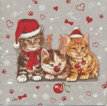 Julkatter