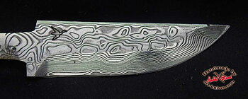 B7Vinland