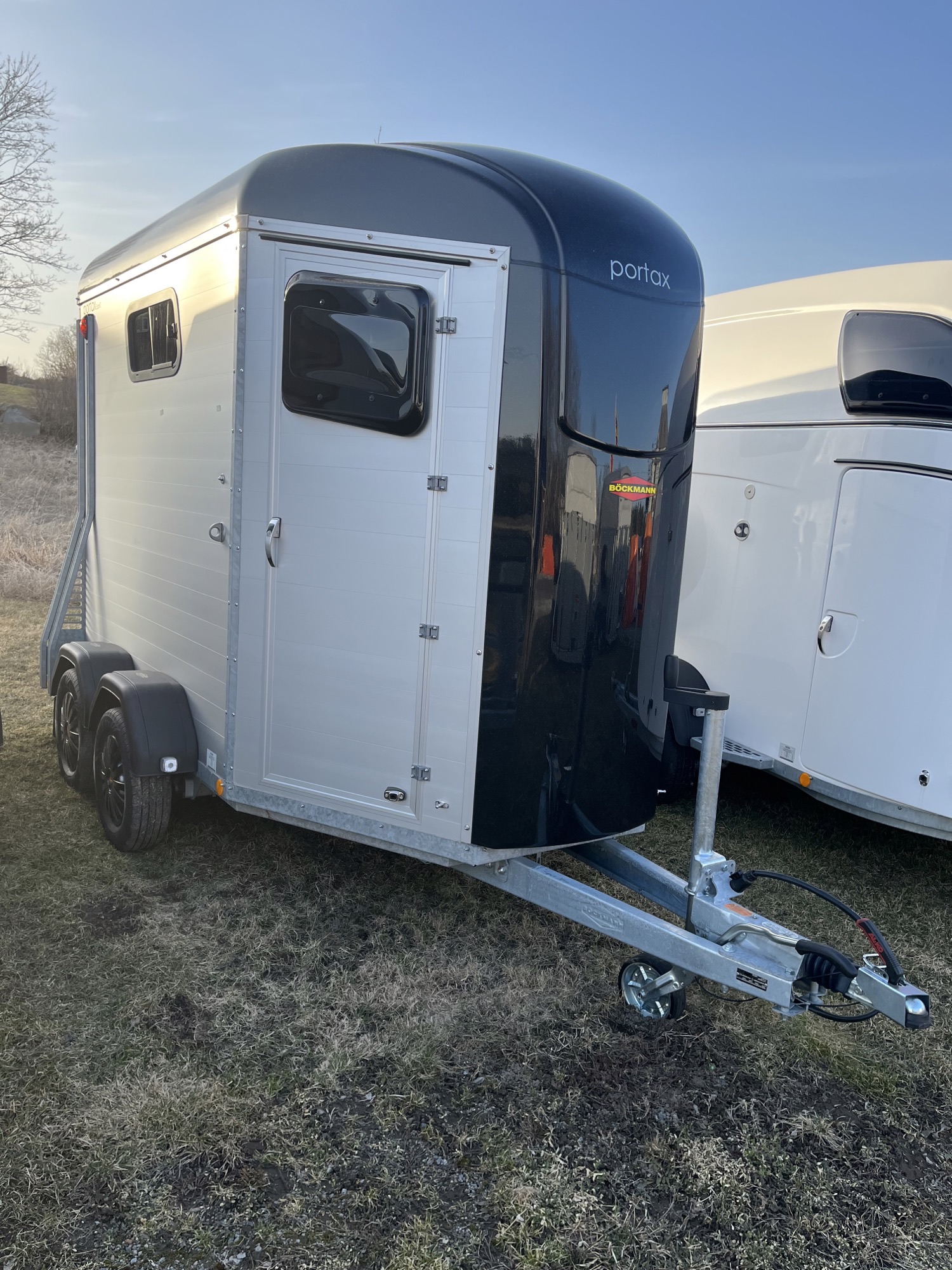 Hästtransport Böckmann Portax Esprit  - 2
