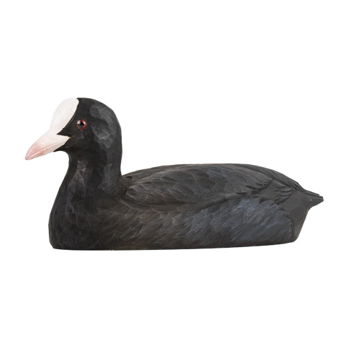 Coot decoys deals