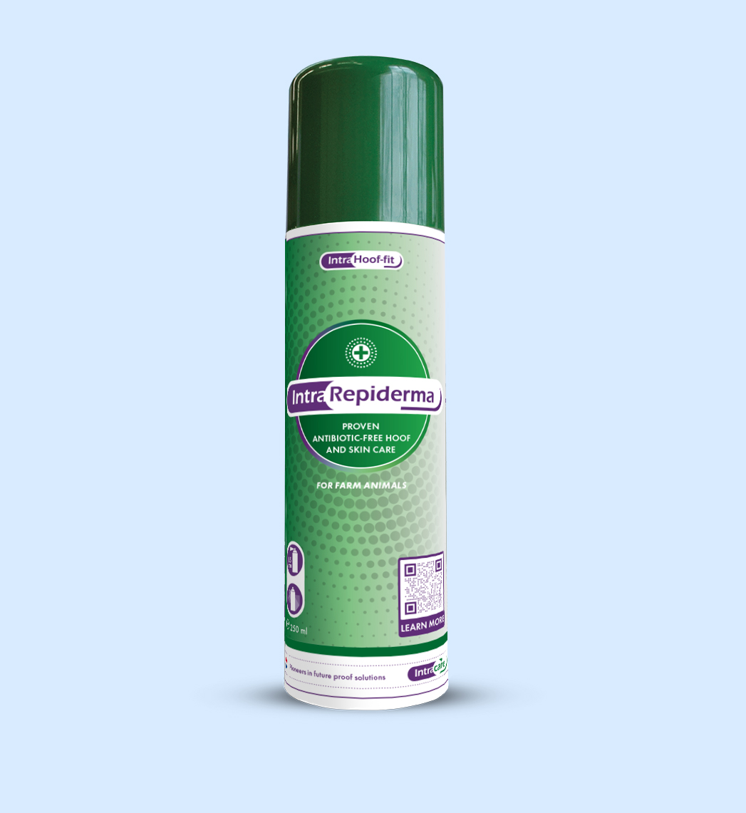 repiderma-2